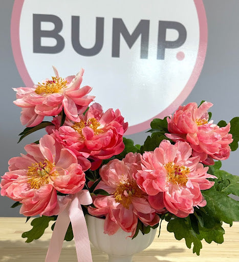 Peony Flowers in Sydney