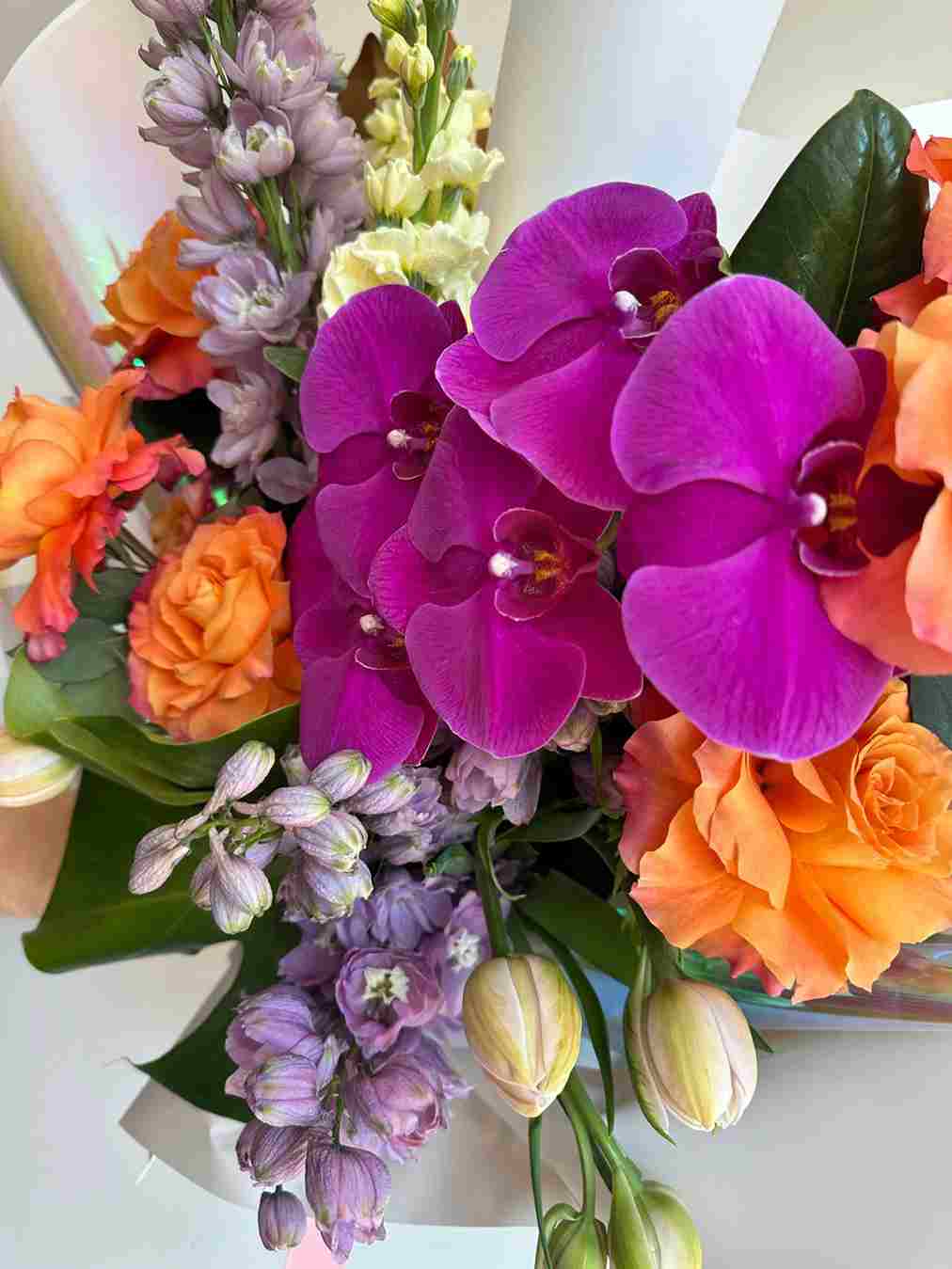 Beautiful Range Of Fresh Flowers