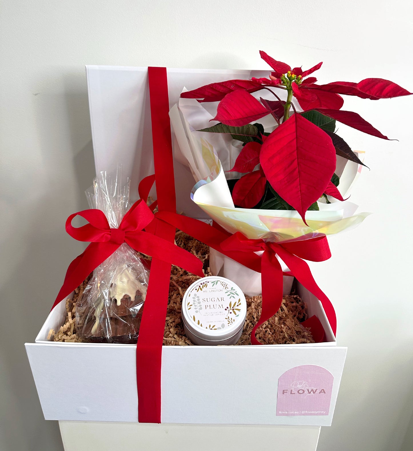 Surprise Gift Hamper for Christmas Festive
